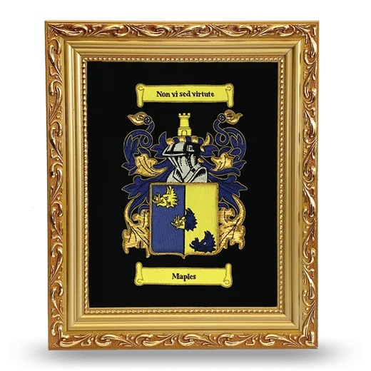 Embroidered Coat of Arms Framed - Gold