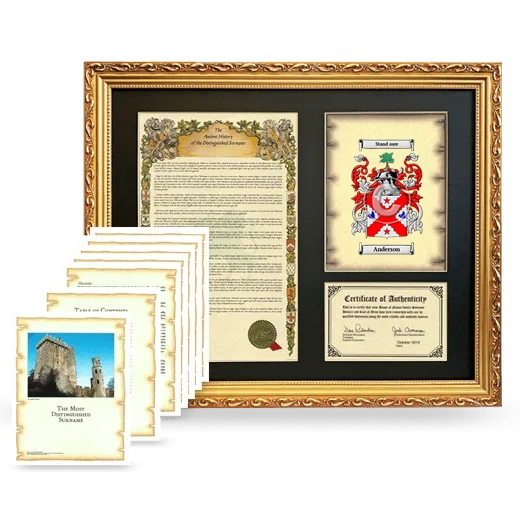 Framed History And Complete History - Gold