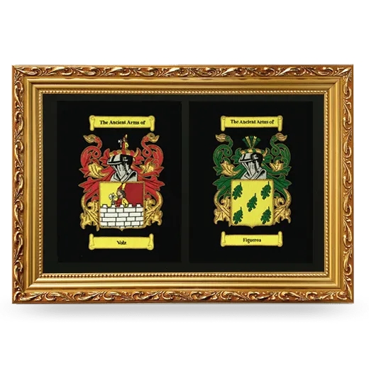 Double Embroidered Coat of Arms Framed - Gold